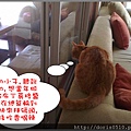 小布雷-2.jpg