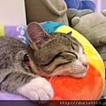 IMAG4645.jpg