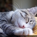 DSC08753.JPG