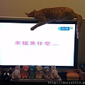 IMAG4993.jpg
