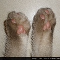 20110817.jpg