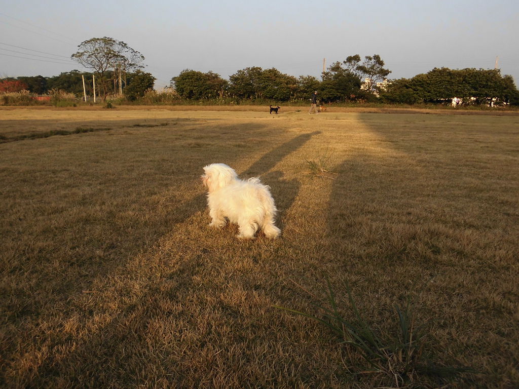 CIMG0367 CIMG0367