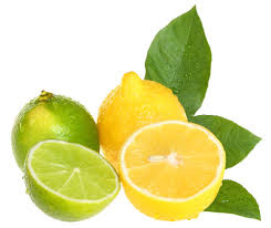 「檸檬」的圖片搜尋結果