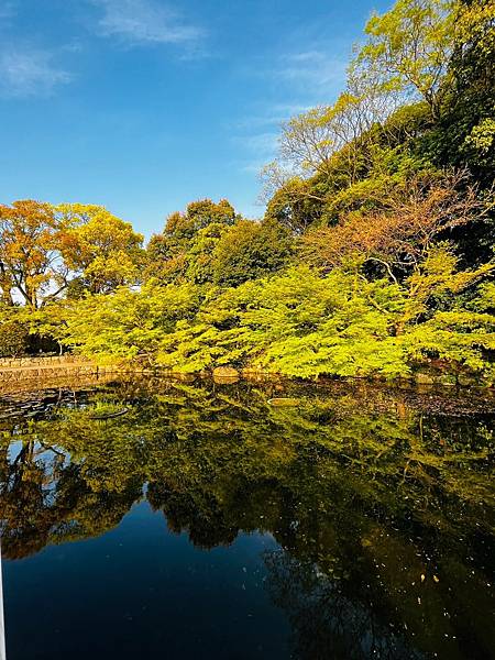 LINE_ALBUM_20230404東屋茶街、兼六園、名花之里、德川園、天守閣_230413_37.jpg