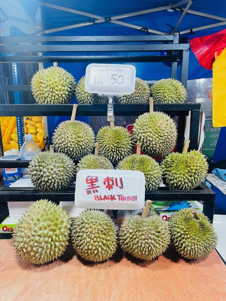 2023馬來西亞團體旅遊｜大紅花海上泳池渡假村｜粉紅清真寺｜