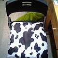 我新買的乳牛坐墊