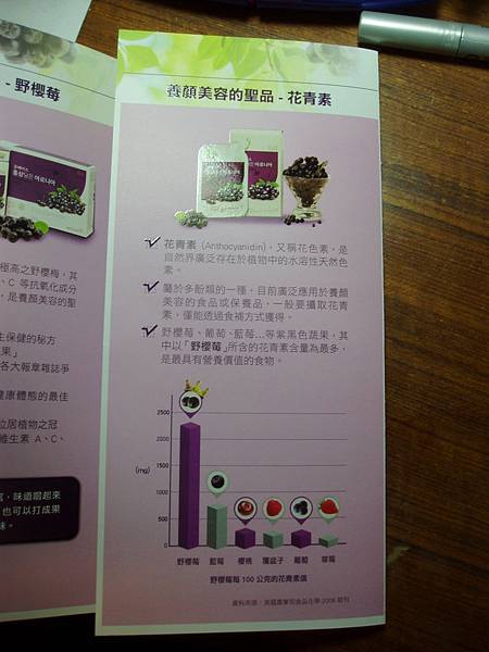 P1010024