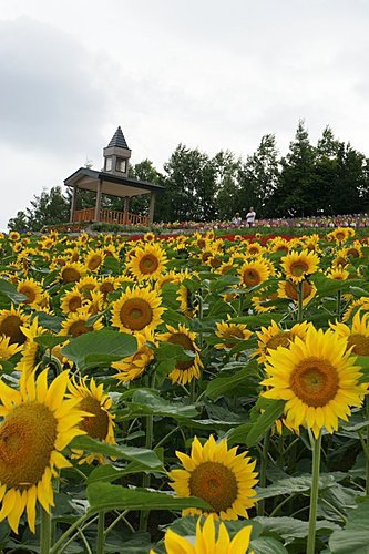 我的旅遊記錄