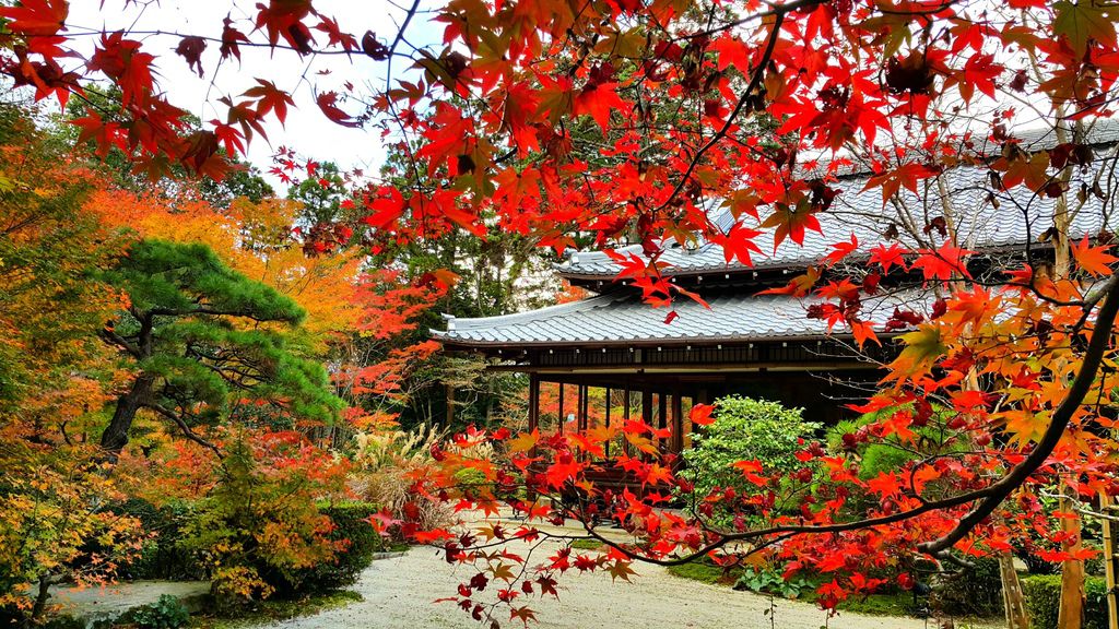 日本 15 11京都名古屋賞楓 行程篇 朵麗絲的旅遊日記doris Travel Diary 隨意窩xuite日誌 日本 15 11京都名古屋賞楓 行程篇 朵麗絲的旅遊日記doris Travel Diary 隨意窩xuite日誌
