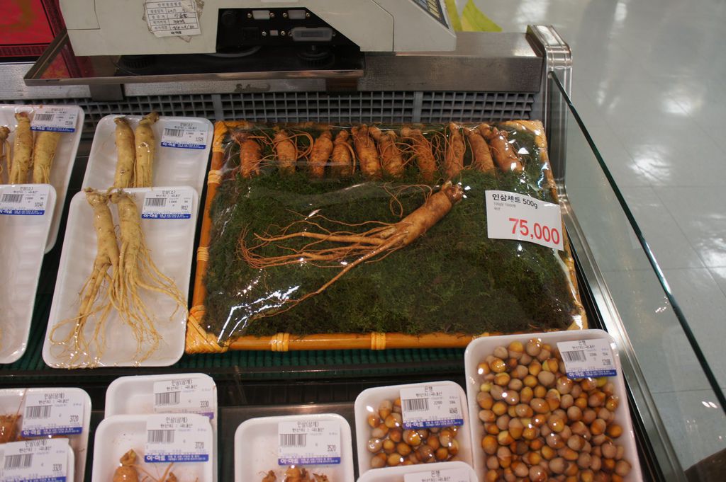 DSC03660_1.JPG DSC03660_1.JPG