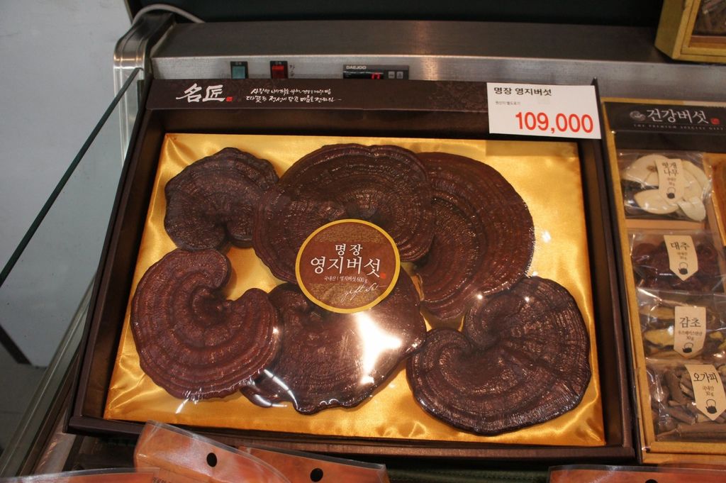 DSC03661_1.JPG DSC03661_1.JPG