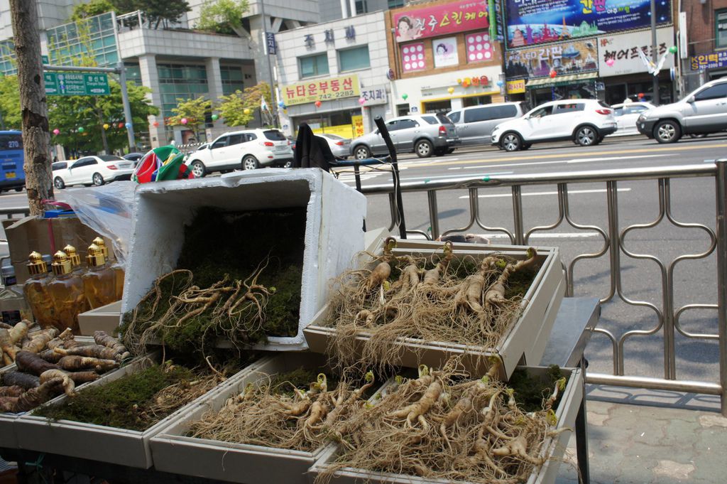 DSC03673_1.JPG DSC03673_1.JPG