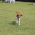 2011.07.31-023-1.JPG