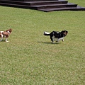 2011.07.31-025.JPG