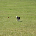 2011.07.31-027.JPG