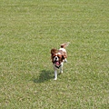 2011.07.31-030.JPG