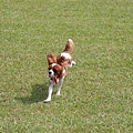 2011.07.31-032.JPG