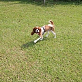 2011.07.31-084.JPG