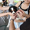 2011.07.31-168.JPG