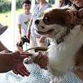 2011.07.31-174.JPG