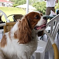 2011.07.31-179.JPG