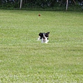 2011.07.31-235.JPG