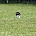 2011.07.31-236.JPG