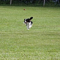 2011.07.31-237.JPG