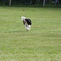 2011.07.31-238.JPG