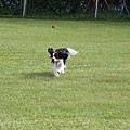 2011.07.31-239.JPG