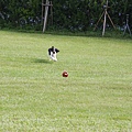 2011.07.31-245.JPG