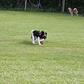 2011.07.31-247.JPG