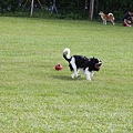 2011.07.31-248.JPG