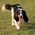 2011.4.6-208.JPG