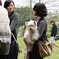 2011.4.16-76.JPG