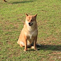 2011.4.6-72.JPG