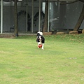 2011.4.16-20.JPG