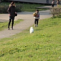 2011.4.6-35.JPG