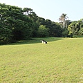 2011.4.6-92.JPG