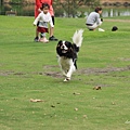 2011.4.16-68.JPG