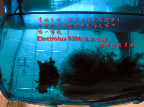 P1010165.JPG P1010165.JPG