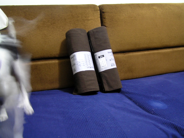 P1010078.JPG P1010078.JPG