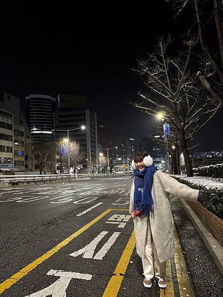 韩国 首尔︙精华✧攻略 2024我的韩国自由行流水帐 从机票
