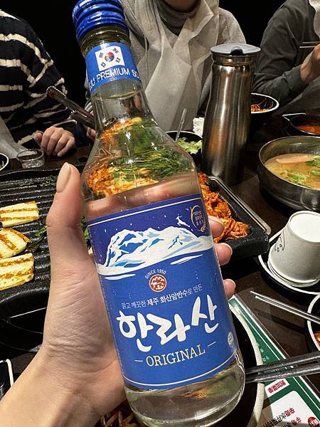 韩国 首尔︙精华✧攻略 2024我的韩国自由行流水帐 从机票