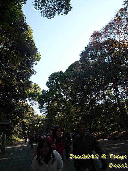 P1070783.JPG