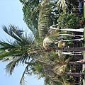 巴里島-渡假村內景