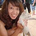 巴里島-貓還是小小的可愛