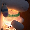 襪子--阿狗(打開夜燈)