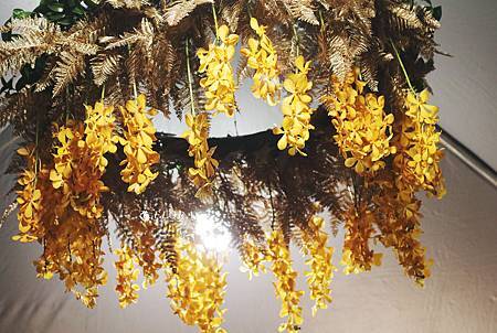 IMG_6556.JPG IMG_6556.JPG