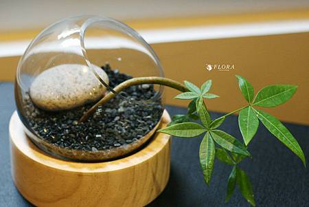 IMG_9846.JPG IMG_9846.JPG